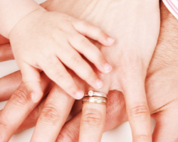 camsle製剤・粒子状製剤などの開発