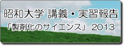 アイコン　昭和大学薬学部　講義・実習指導　201305