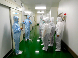 製造工程の見学